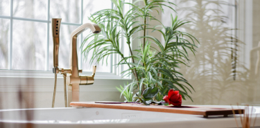 A plant and bathtub faucet