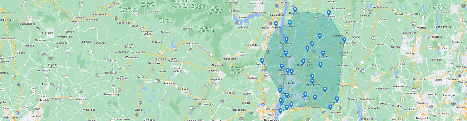 Map Section Placeholder