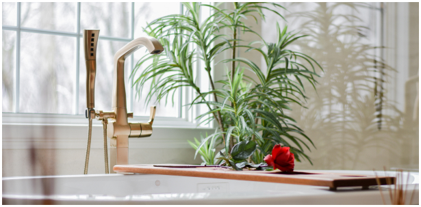 A plant and bathtub faucet
