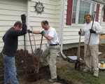 DiggingFootings