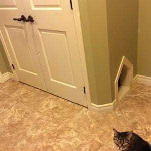 HITT: PET